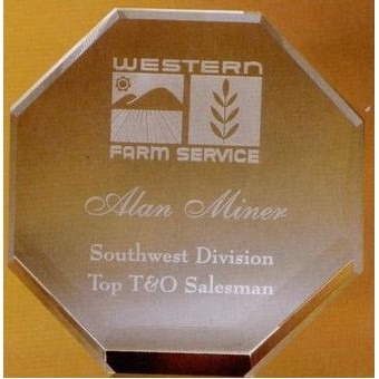 Medium Optic Crystal Octagon Award