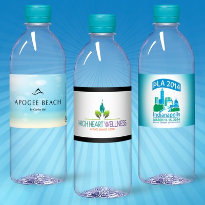 16.9 Oz. Custom Labeled Water in Clear "Bullet" Bottle w/Berry Blue Cap