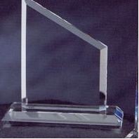 Crystal Peck Award