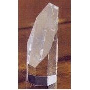4" Octagon Award